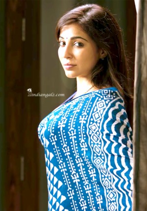 Parvathi Nair hot sexy saree Koditta 3 (1)